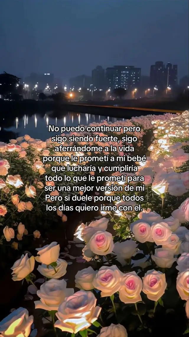 #bebeenelcielo👣👼 #teamareporsiempre #👼🏻 #mamateextraña 