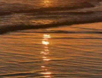 Que regrese esta cancionn #tomylove #bombaestereo #songs #2018 #amor