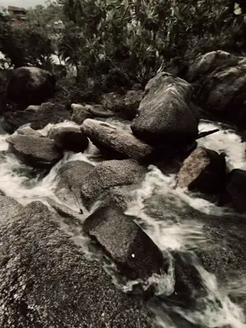 “爱情就像火焰，如果不懂珍惜，它很快就会熄灭。 “Tình yêu giống như ngọn lửa, nếu không biết trân trọng, nó sẽ sớm lụi tàn.”#_tantu1909_🧸 #fyb #tamtrang #xuhuong 