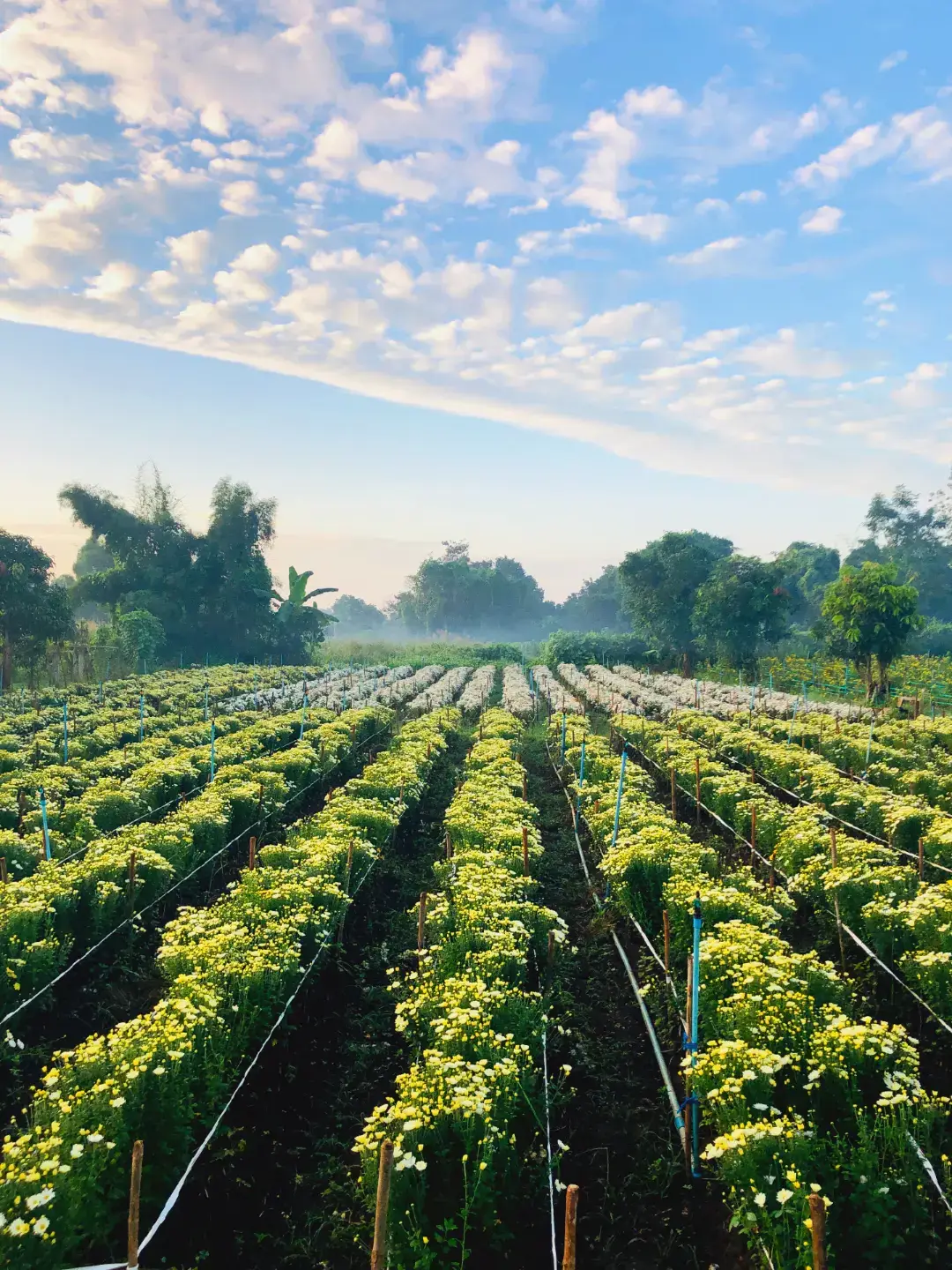 အေးစိမ့်နေတာပဲ😍