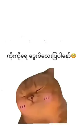 နေမကောင်းတော့ ကိုးကိုက လိုချင်တာပြောဖြည့်စည်းပေးမယ်ပြောသောအခါ me-😜#fypシ゚ #foryou #fypပေါ်ရောက်စမ်း😒👊🏻 #ဘယ်တော့မှfypပေါ်ရောက်မာလဲ #kokolover😡💗 