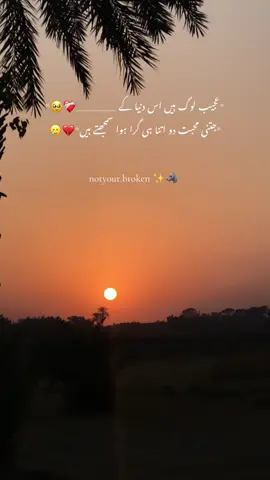 *عجیب لوگ ہیں اس دنیا کے __________❤‍🩹🥹* *جتنی محبت دو اتنا ہی گرا ہوا سمجھتے ہیں*💔🥲 notyour.broken ✨🐺 #foryou #poetry #nature #sunset #esthetic 