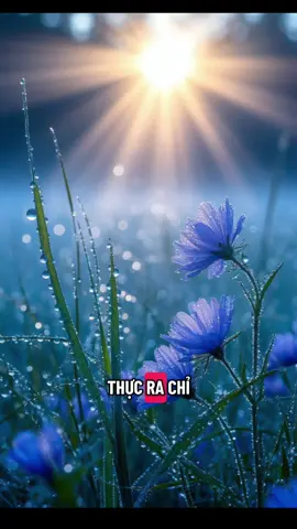 Bình tĩnh sống 25.11.2025 #binhtinhsong #tichcucmoingay #camxuctichcuc #chualanhtamhon #truyendongluc 