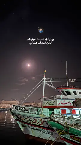 #چورچ_وسوف #ابووديع_سلطان_الطرب #1moouu☝🏻 #viralvideo #xplore 