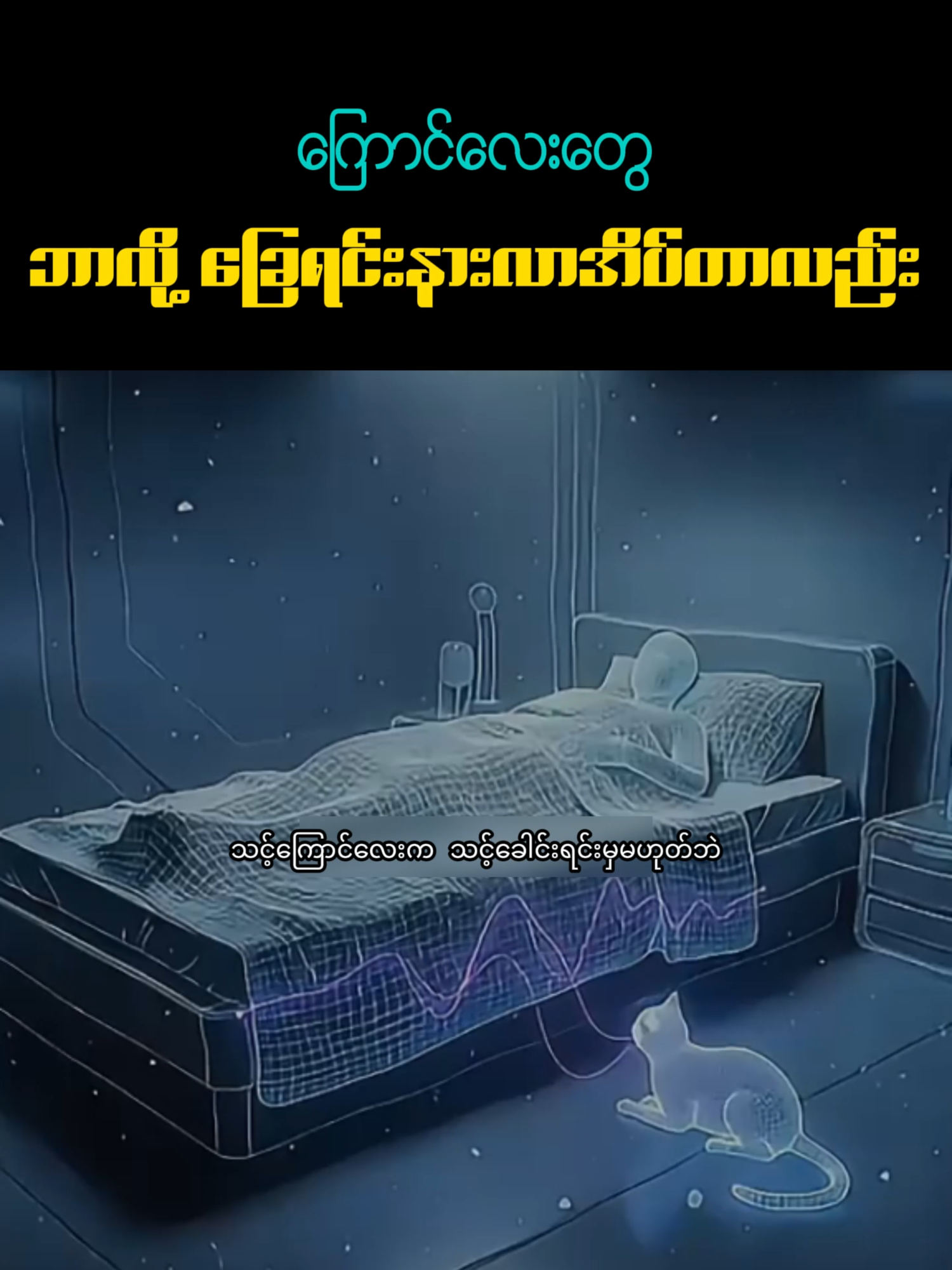 ကြောင်လေးတွေ ဘာလို့ခြေရင်းနားလာအိပ်တာလည်း @hehehrhr884 #creatorsearchinsghts #tiktokmyanmar #viral #cat #pet