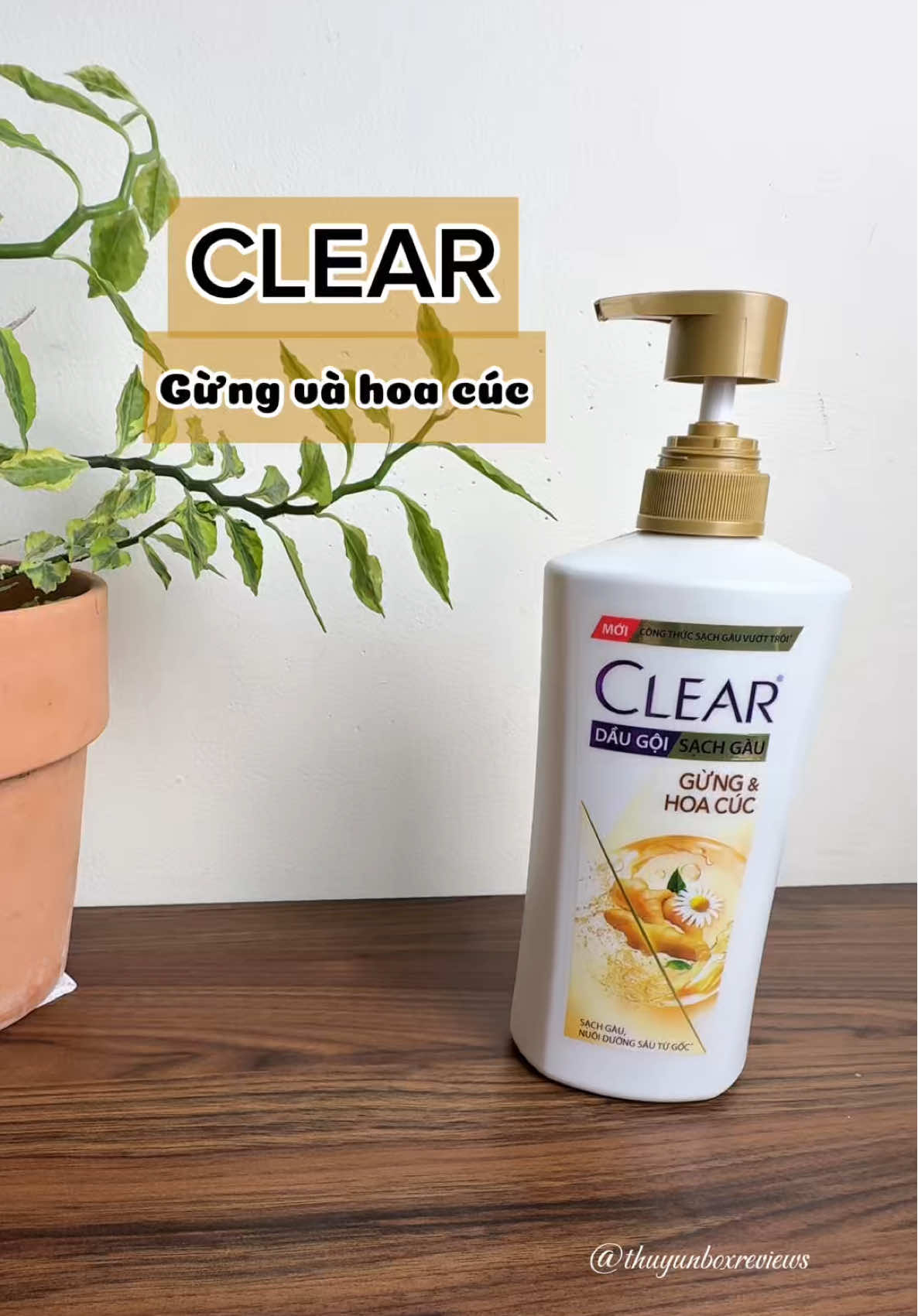 Gội thảo dược gừng và hoa cúc nhà Clear gôi thơm mê #thuyunboxreviews #clear #cleargunghoacuc #hoptaccungUnilever #Ecomobi