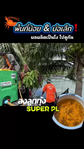 บ่อเล็กขนาด 2 งาน ผลผลิตจะดีแค่ไหนไปดูกัน 🦐🦐🦐🦐🦐🦐🦐🦐🦐 #CPFAquaShrimp #CPFTurboProgram #กุ้งCPF #กุ้งCP #กุ้งซีพี 