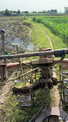 Timik timik golek sarapan😅#traktorngawi #fyp #pati #teammadangmaidobayaran #traktormaniaindonesia 