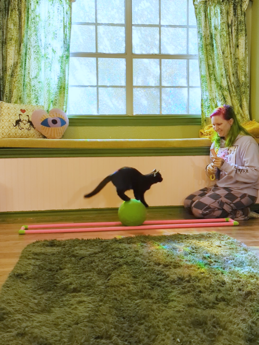 Answering some questions while Pantalaimon rolls the furthest he has ever gone. Pantalaimon is a mixed breed from the Humane Society of North Texas where I work. The sign on the scraggly black kitten's kennel said 