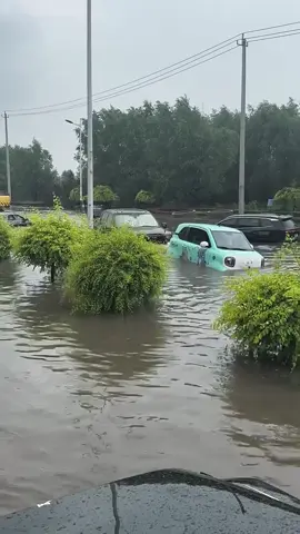 Xe điện và xe nửa tải