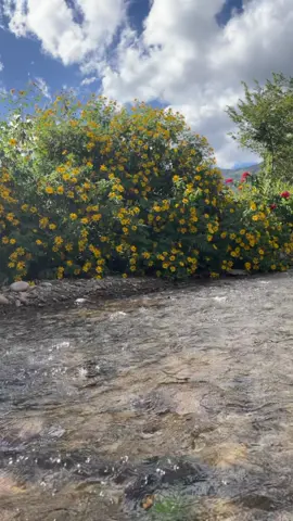 Summer🌻#fyp #2025  #ချစ်စရာကောင်းတာတစ်ခုပြမယ်🥺🎀 