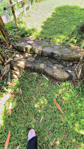 wisata Alam Dan Resto Sumowono Bamboo Garden #masukberanda#fypシ#fyppppppppppppppppppppppp#sumowono#wisataalamsemarang#4u#fyp#fypシ#fyppppppppppppppppppppppp 