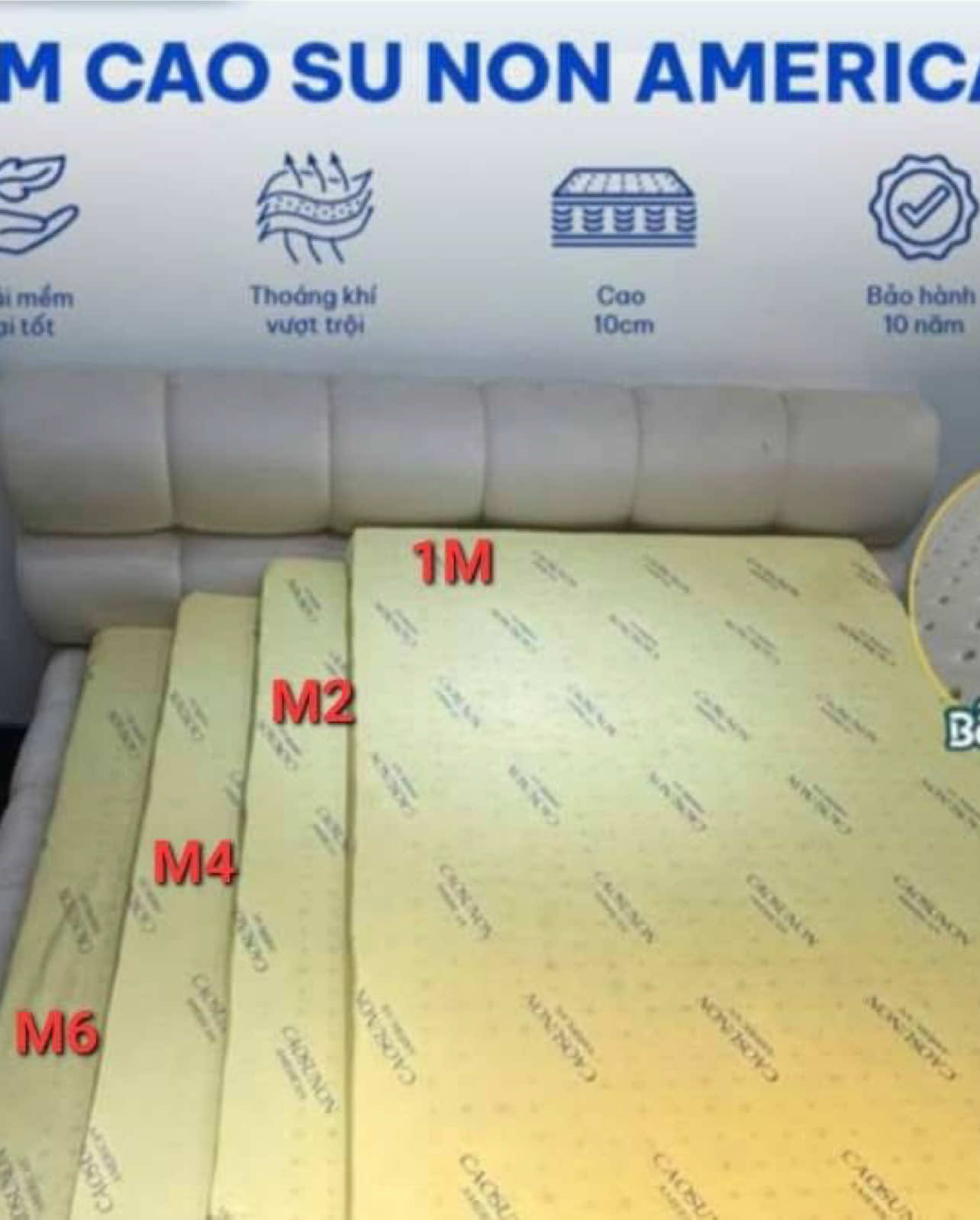 Nệm cao su non americen đủ các kích thước,mềm mại êm ái#viral #nemcaosunon #caosunonthangloi #nemamerican 