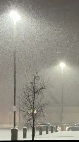 #creatorsearchinsights  #canada_life🇨🇦🇨🇦❤️tiktok  #beautiful #moment 