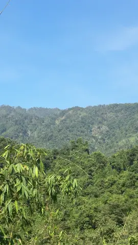 cảnh đẹp thiên nhiên#thiennhien 