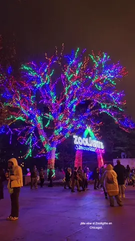 Paque de luces en el zoologico de Lincoln Park #chicago #navidadchicago #conociendochicago #gettingtknowchicago 