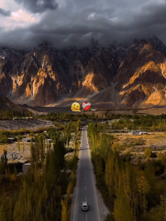 Malang 🫠🤌🏻 (Sargam Version) || Repost Request || #deartiktokteampleaseunfreezmyaccound #deartiktokteamdontunderviewmyvideo  #tayyabaesthetic #malang #foryoupage 