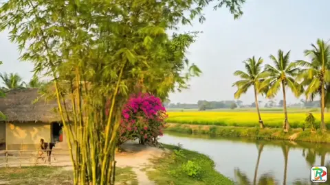 স্বপ্নের দেশ... #village #nature #viral #house #RoxyDesignStudio 