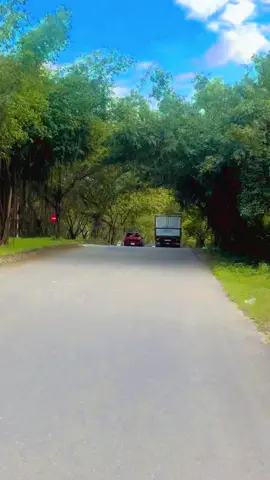 Cung đường Tràng An đẹp nhất Ninh Bình🌸#❤️ #đẹp #tranganninhbinh #dulichvietnam #ninhbinh 