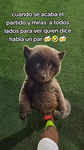 🤣🤣🤣#paratiiiiiiiiiiiiiiiiiiiiiiiiiiiiiii #viral 