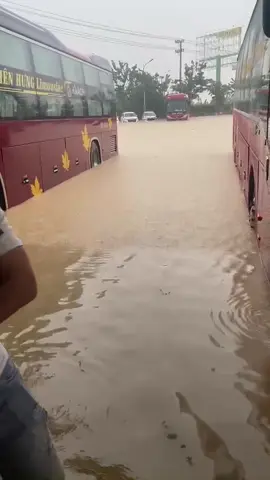 Lịch sử lũ lụt khánh hòa 📝#hoangdixekhach #lienhunglimousine #dulichvietnam#nhatrang 