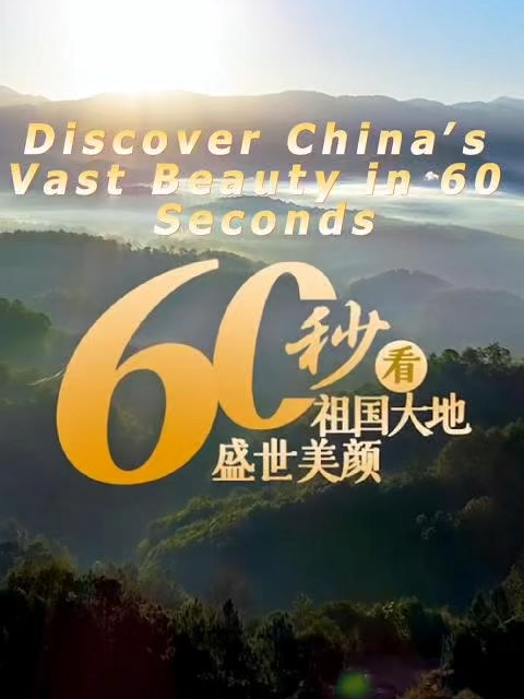 Five-Year Plans reflect a unified, nationwide approach: promoting national priorities and leveraging regional capabilities. Coordinated planning prevents redundant projects and homogenized competition, while regions are encouraged to tap into their unique endowments and comparative advantages, enabling complementary strengths and coordinated growth.