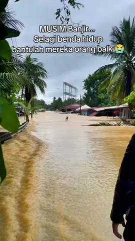 Musim Banjir... Haiwan juga m4ngs4 . mohon bantu mereka orang baik 😭 #banjir #banjir2025 