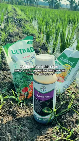 5% Skill 95% Modal yakin #petanimuda #petaniindonesia🇮🇩🇮🇩🇮🇩🌿🌿 #fyppppppppppppppppppppppp #petanigenz #petanimilenial 