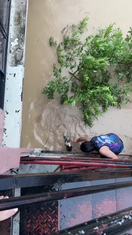 During Bagyong Tino , we saw a struggling dog during the flood and with God’s grace we were able to rescue him! During Typhoon we encouraged everyone to not leave their pets behind, they are family too #bagyongtino  #savedog #dontleaveyourpetsbehind #DogsDuringTyphoon 