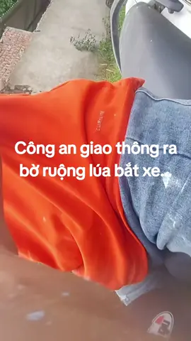 #phunuvietnam #xuthe2024 #vietnam #hanoi #CapCut 