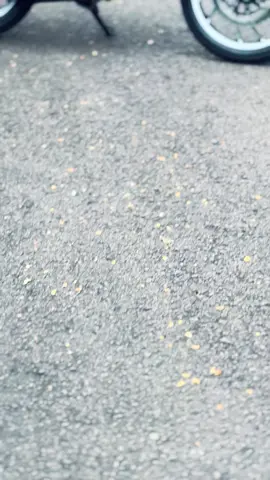 Tanda hadir kingfest 🙌🏻 #rxkingperedambiru #fyp #kingfest 