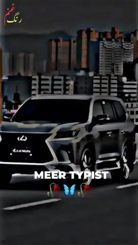 چی ھجری بہ یی زمونگ ساپکولی#pashto #pashtopoetry #pashtosong #foryoupage #viral 