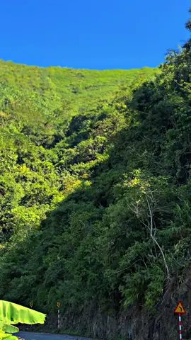 Xe ní thiếu cái chi xe mới keng đây ae#wave #xh 