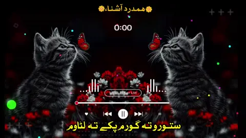 #ستوروتہ_گورم_پکےتہ_لٹاوم😢🫵🫂 #pashtonazam #foryoupage #500kviews #standwithkashmir  @🫥ھــمــدرد ٹائپسٹ🫥 @ﹾ٭ﹾمهاجرﹾ٭ﹾزرمتیﹾ٭ﹾ @umar_typish2 @Wahab Typist @❤️ﹾ٭ﹾدردمندﹾ٭ﹾ خوستى ٭ﹾ🎧🌹 