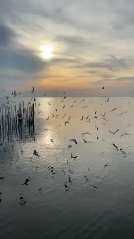 #คลิปนี้ต้องฟีด #เทรนวันนี้ #วิวสวย ฟังเสียงนกร้อง เสียงลมพัด