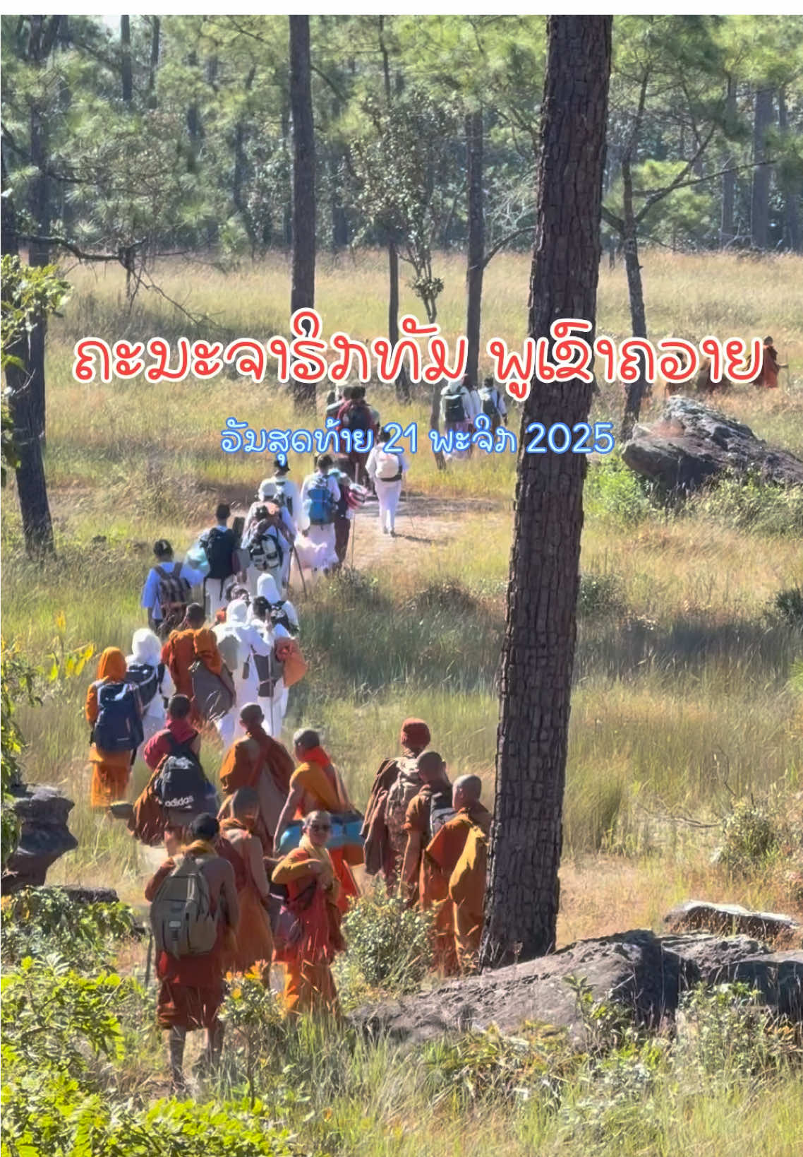 [ ຄະນະສະແຫວງບຸນ ທີ່ ພູເຂົາຄວາຍ ] #ປີກວິເວກພູເຂົາຄວາຍ  #ພູເຂົາຄວາຍ  #ພັດທະນາຕົວເອງ 