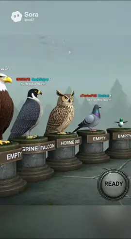 Max prestige dodo #birdgame3 