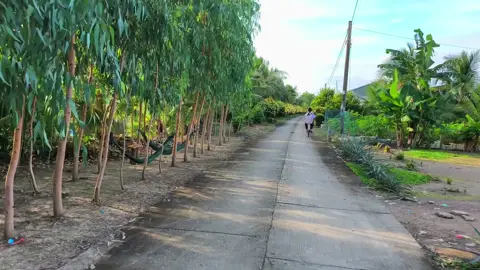 Vậy Là Có Hàng Rào Đẹp Liền 😉#xuhuong 