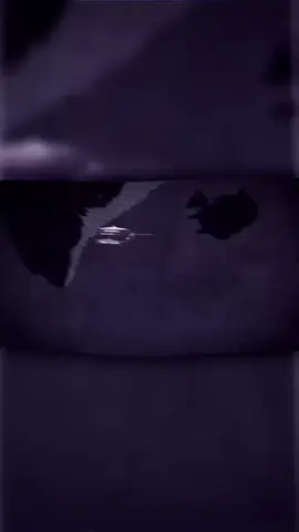 Prinz Eugen meninggalkan Bismarck setelah Pertempuran Selat Denmark karena Laksamana Lütjens memerintahkannya untuk melanjutkan misi penyerangan terhadap kapal-kapal Sekutu sementara Bismarck kembali ke Prancis untuk perbaikan akibat kerusakan. Lütjens memutuskan pemisahan ini karena kondisi bahan bakar yang kritis pada Prinz Eugen dan kerusakan pada Bismarck. Nasib setelah pemisahan Prinz Eugen: Setelah mengisi bahan bakar, Prinz Eugen mengalami masalah mesin dan akhirnya berhasil mencapai Brest, Prancis, tetapi tidak berhasil menenggelamkan satu pun kapal dagang dan misi serangannya terhenti. Bismarck: Meskipun berhasil menghindari pengejaran awal, Bismarck akhirnya dilumpuhkan oleh serangan torpedo Inggris yang merusak kemudinya, lalu ditenggelamkan pada 27 Mei 1941. Sumber: Gemini  #jedagjedug #kapalperang #jerman #historycreatorteam #fypシ