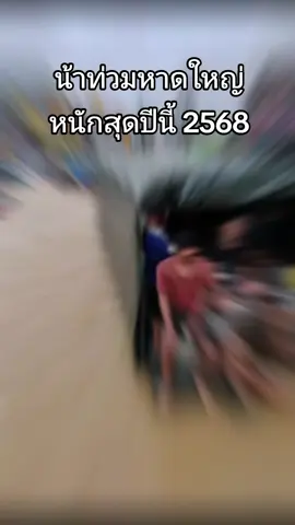 วันนี้ (25 พ.ย.2568) เวลา 07.00 น. สถานการณ์น้ำท่วมบริเวณแยกโรงปูน อ.หาดใหญ่ จ.สงขลา น้ำเพิ่มระดับสูง รถยนต์จมน้ำหลายคัน ขณะที่ชาวบ้านผู้ประสบภัยรวมถึงทีมข่าวไทยพีบีเอส  ที่อยู่บนรถยีเอ็มซีของทหารตั้งแต่ช่วงเวลาประมาณ 21.00 น.เมื่อคืนที่ผ่านมา ไม่สามารถผ่านไปได้ เพราะฝนตกและระดับน้ำยังมีแนวโน้มเพิ่มขึ้นอย่างต่อเนื่อง อย่างไรก็ตาม ทุกหน่วยระบุว่ายังไม่สามารถเข้าถึงจุดที่ทีมข่าวและชาวบ้านอยู่ได้ เนื่องจากกระแสน้ำแรงและสภาพพื้นที่ไม่เอื้ออำนวย  #น้ำท่วม #น้ำท่วมใต้2568 #น้ำท่วมภาคใต้68 #น้ำท่วมหาดใหญ่ #น้ำท่วมสงขลา 