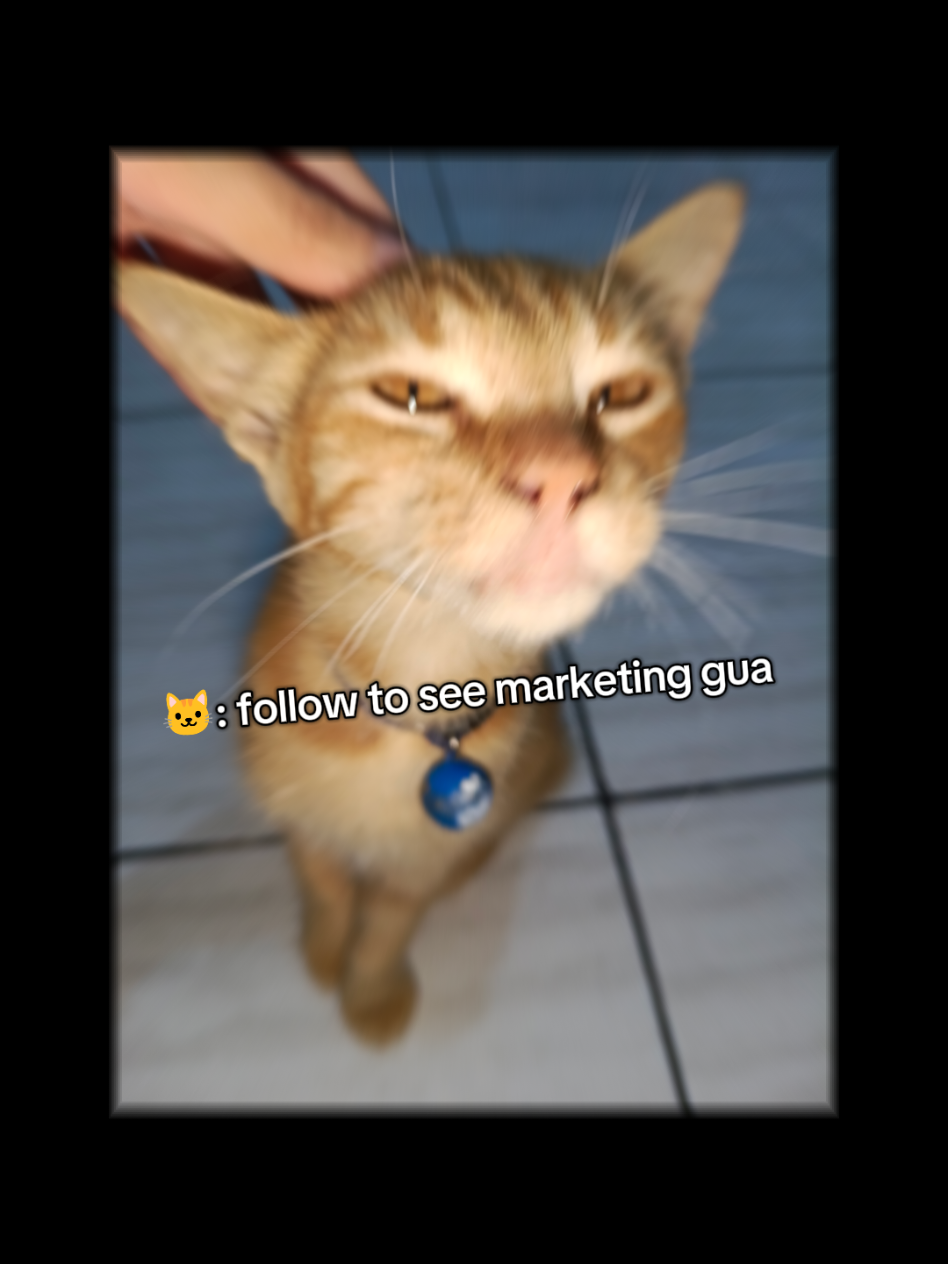 damn marketing jaman sekarang anabul terdepan. Buat akun kroket di Ig #kroketbali #genzlife #catmemes #balifoodies 