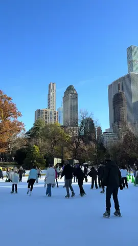 #iceskatingcentralpark #wollmanrink #wollmanrinknyc #dream #christmasnewyork 