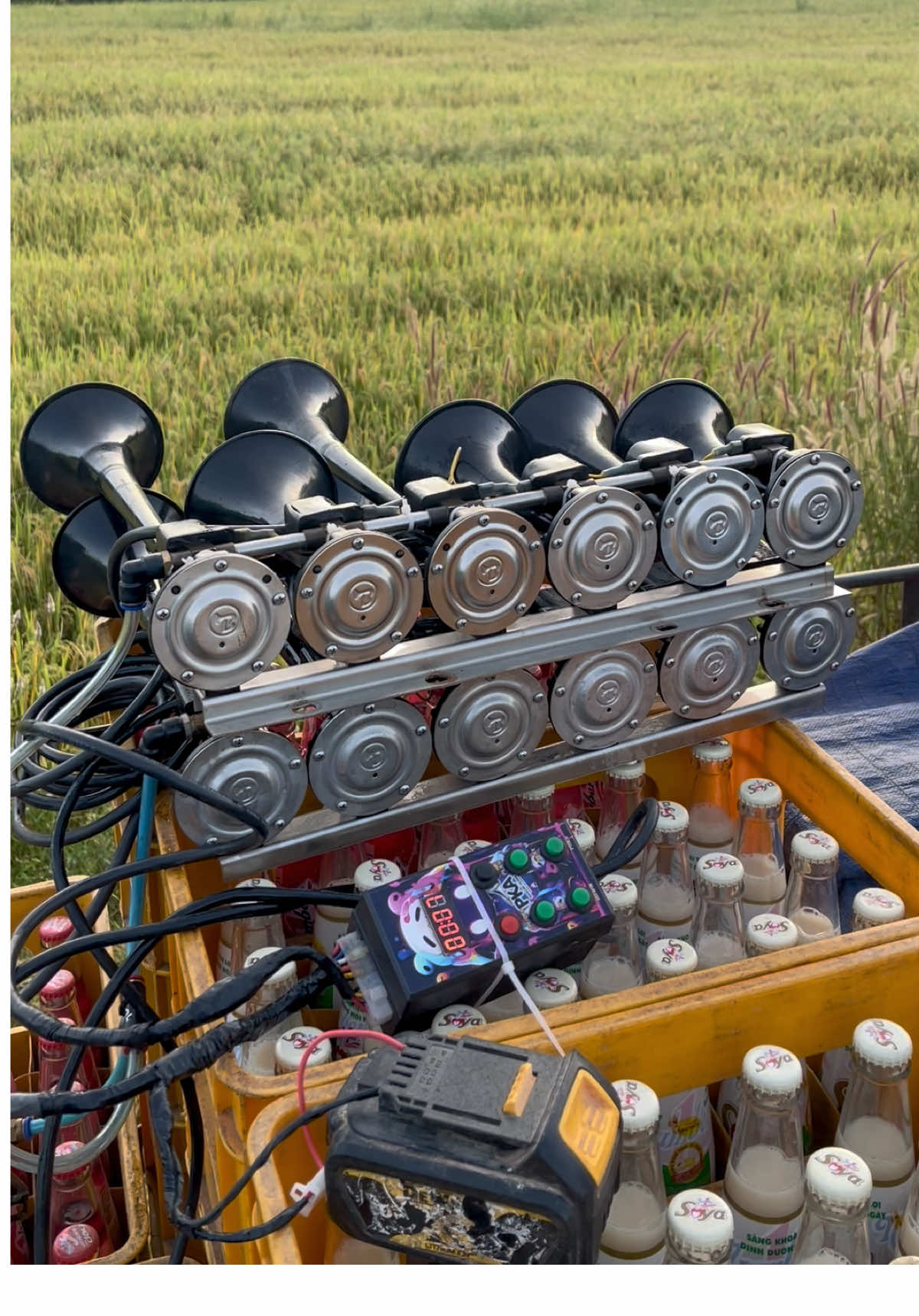 Đại Thánh tới đây 😆 TeamNot.Đen🕺 #xh #xuhuong #trending #70tayninh #hoangduy1905 