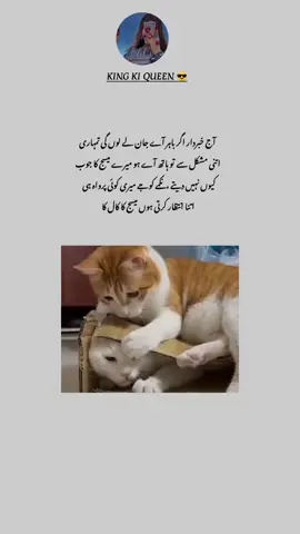 Ajj khberdar agr bahir Jan le lu#😫🤧😤😒👻😂🤣@M-Hassan-804 @میری کہانی @sameer kashmiri❤❤ @husband W ki Jan 😘 @awan zadi 💃 @✌️میرے ہو تم✌️ 