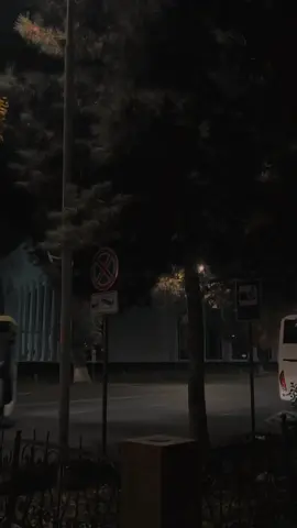 𝗙𝗲𝗲𝗹 𝗧𝗵𝗶𝘀 𝗦𝗼𝗻𝗴 🥹❤️‍🔥🌸🎧 || 𝑹𝒆𝒑𝒐𝒔𝒕 𝑹𝒆𝒒𝒖𝒆𝒔𝒕 ||❤️‍🩹 . . . #views #Lyrics #shafa_aesthetics1 #aestheticvideos #unfreezemyacount 