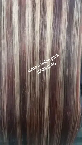salon a union park #hairstyle #viraltiktok #mauritius 57420846