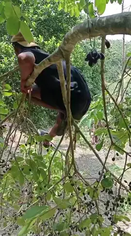 #blora24jam #fyp #viralvideo 