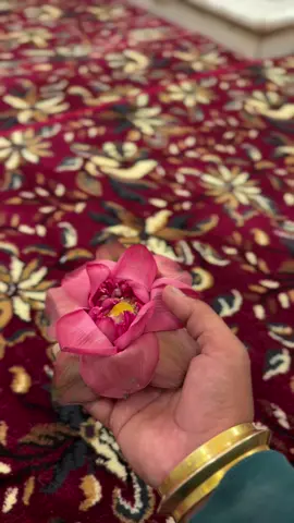 #jairajasahibji🙏🙏🙏❣🌷 #jairajasahibji #rajasahibji #punjabi #for 