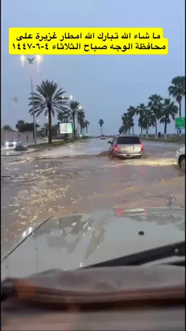 #ابو_مراد_البلويـے #الوجه 