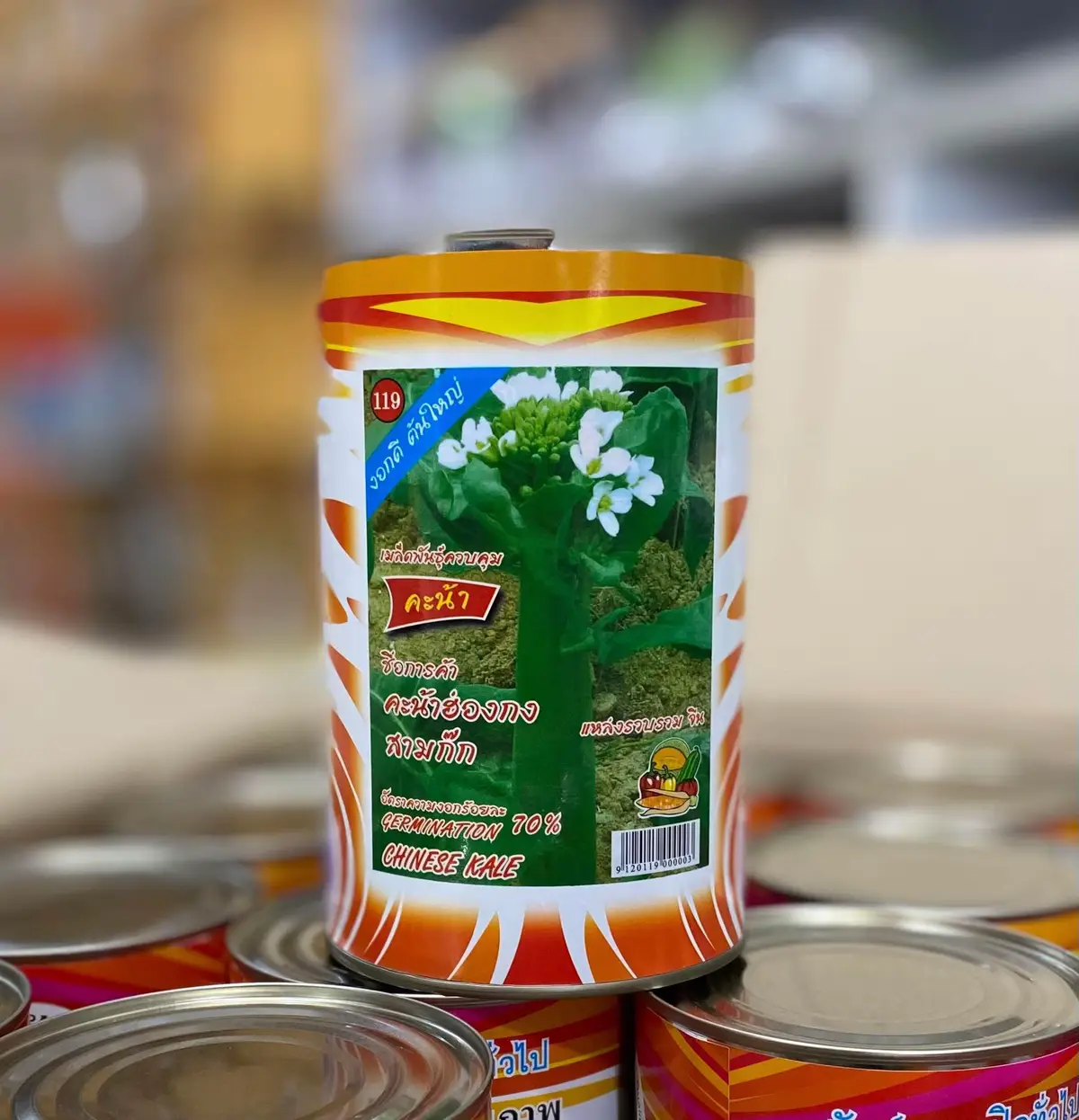 คะน้าฮ่องกง ขนาด 500 กรัม ตราสี่ทิศ 🫨 เข้าแล้วนะคะ สนใจสอบถาม #คะน้าฮ่องกง #ตราสี่ทิศ #ส่งเร็วทันใจ